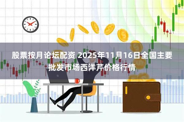 股票按月论坛配资 2025年11月16日全国主要批发市场西洋芹价格行情