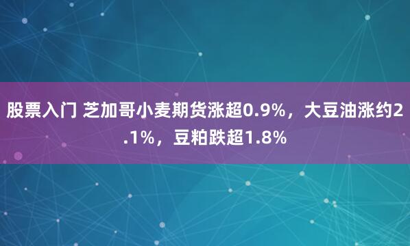 股票入门 芝加哥小麦期货涨超0.9%，大豆油涨约2.1%，豆粕跌超1.8%