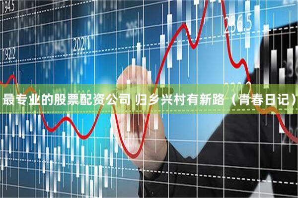 最专业的股票配资公司 归乡兴村有新路（青春日记）
